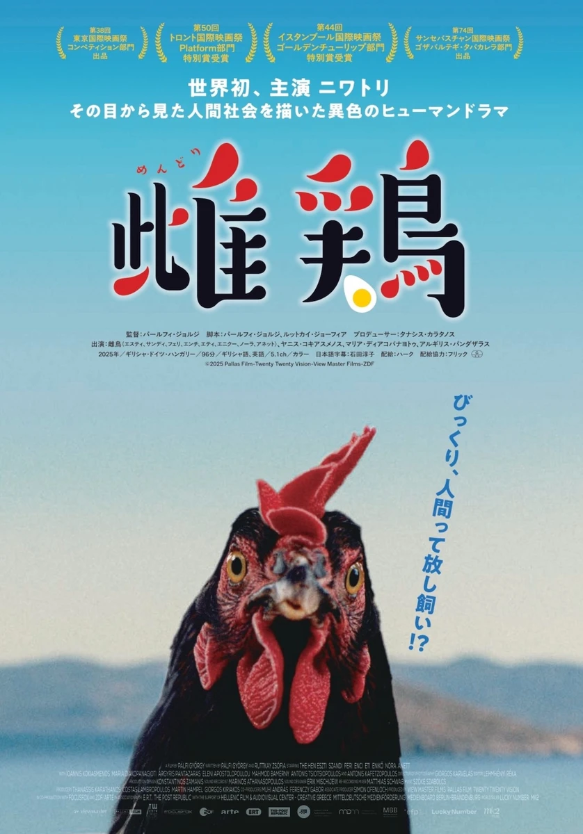 『雌鶏』ポスター.jpg