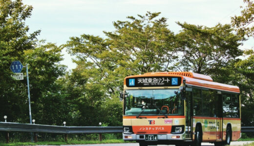 伊豆の海沿いを走る東海バスの路線バスと、運転席で誇らしげに前を見据えるプロの運転士