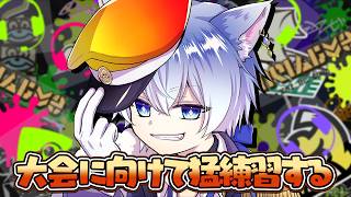 【S~】新シーズンになったので猛練習する/Splatoon3【VTuber/にーね】#げまぶい #ZTWIN