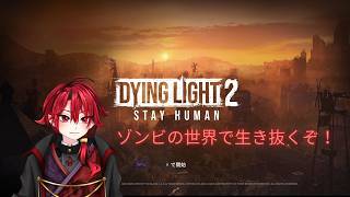 Part6 ゾンビ倒すぞ～！【DYING LIGHT 2 STAY HUMAN】