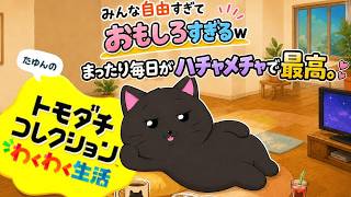 【トモコレ】おつとめさま！夜市＆様子見チェック雑談配信【99日目】