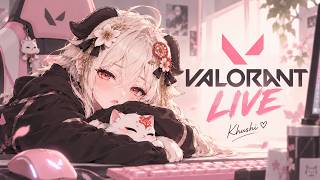 0 Aim but Still Queueing Ranked 😭🌸 !insta ♡ | #gamergirl #vtuber  | Valorant LIVE🛑