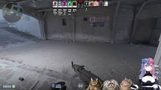 Let play Counter-Strike ~ 自分が何をしているのか分からない LOL ~ learn how too play