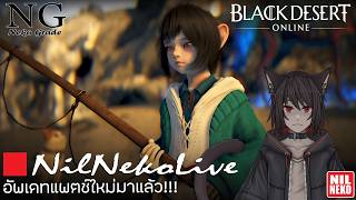 [🔴 NilNekoLIVE] ไทย | เก็บเวลเทมเมอร์ คอมดับไปรอบนึง | Black Desert (By NilNeko) #NilNeko