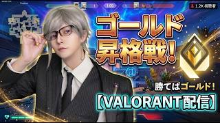 【ゴールド昇格するぞ！】40歳過ぎから始める初老VのVALORANT成長期２５【天宮圭 / 2.5次元Vtuber】